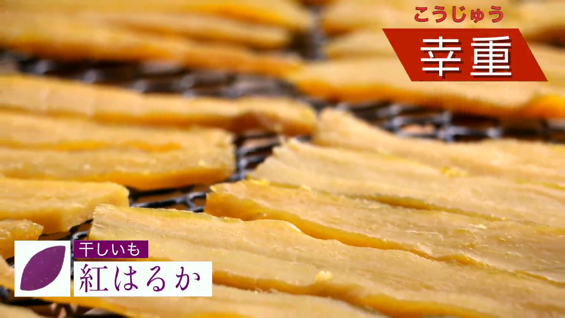 おいも様 すいーとぽてと（スイートポテト）」12個化粧箱入り（送料込み